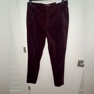 NWT LOFT The skinny  high rise velvet pant w/sailor front sz 31